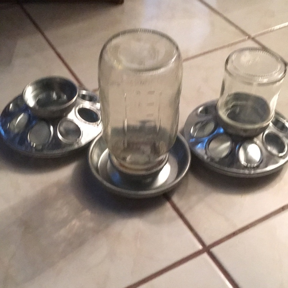 Quail/Dove/Chick Feeders and Waterers